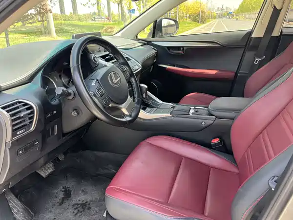 Lexus NX 2020