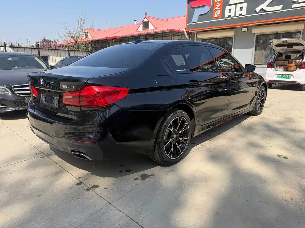 BMW 5 Series 2019