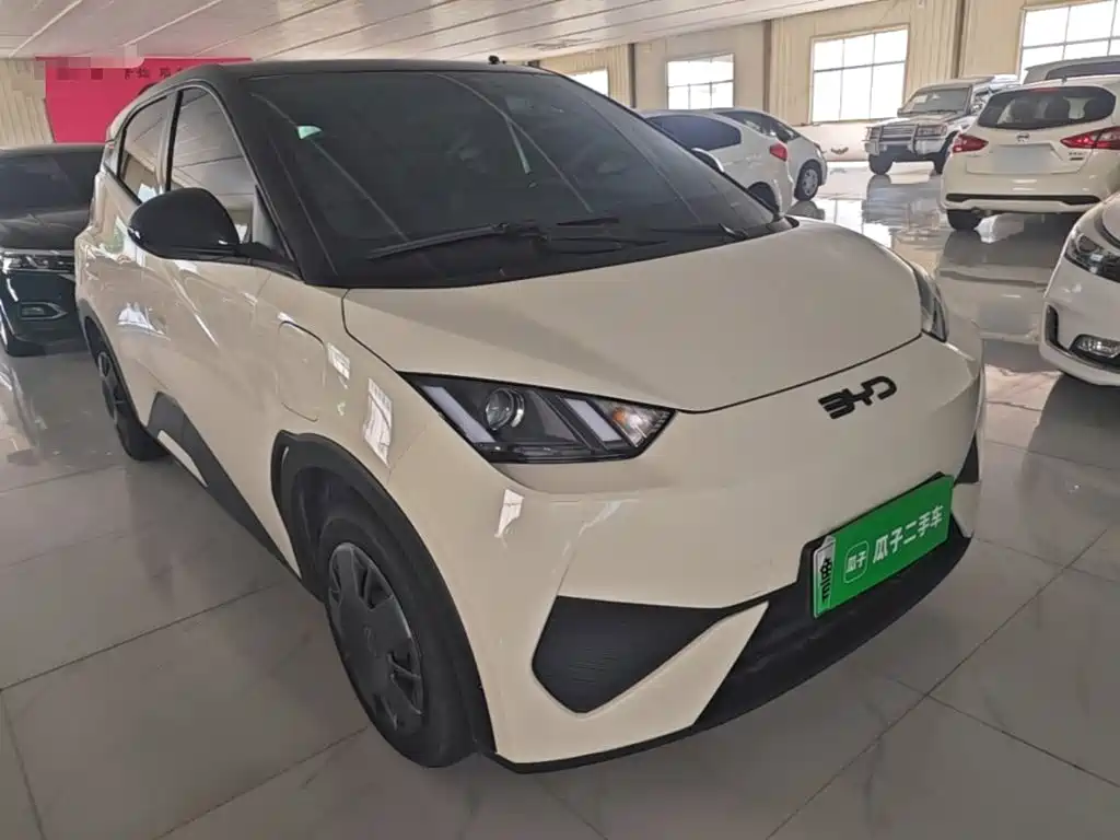 BYD Seagull 2025