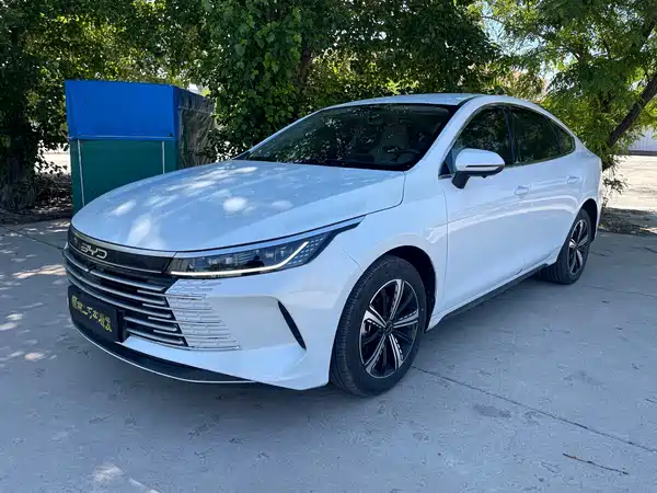 BYD Destroyer 05 2024