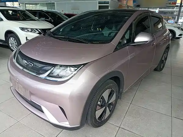 BYD Dolphin 2024