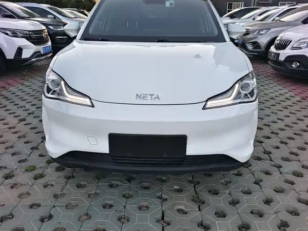 Neta V 2021