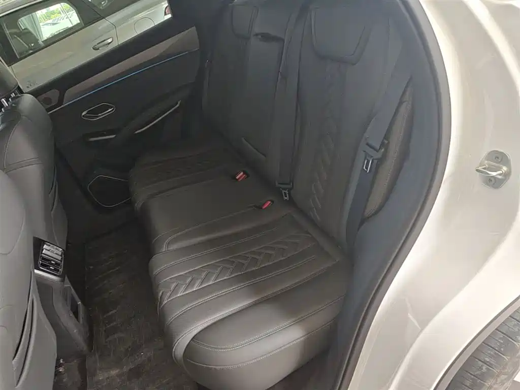 BYD L DM-i 2025 — фото 17