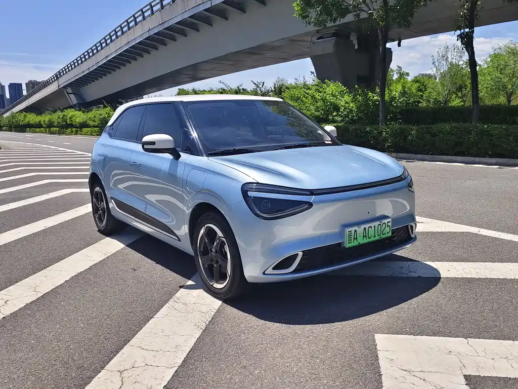 Dongfeng Nano 01 2024
