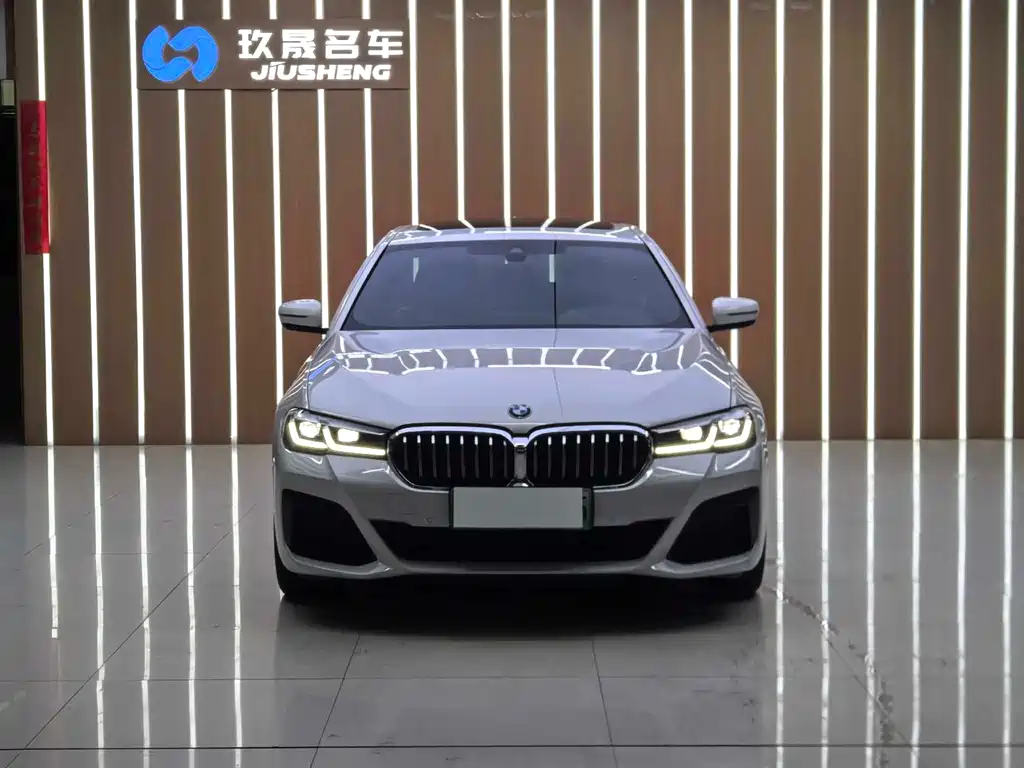 BMW 5 Series New Energy 2021