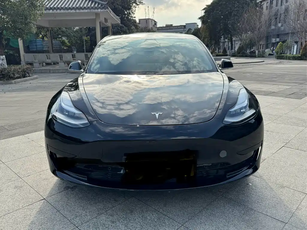 Tesla Model 3 2020 — фото 2