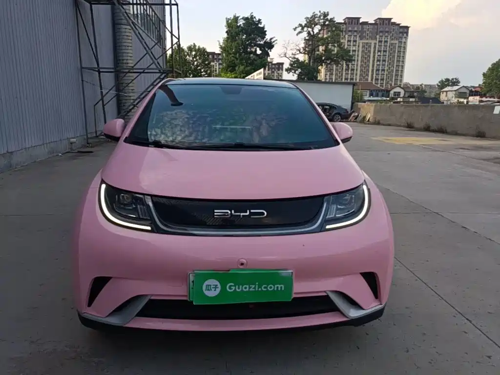 BYD Dolphin 2022