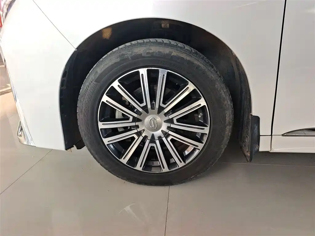GAC Motor Trumpchi M8 2021 — фото 23