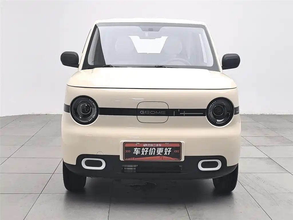 Galaxy Panda 2025