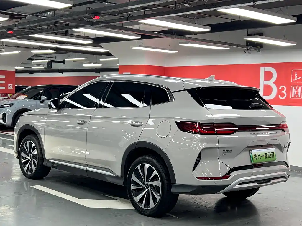 BYD PLUS New Energy 2024 — фото 10