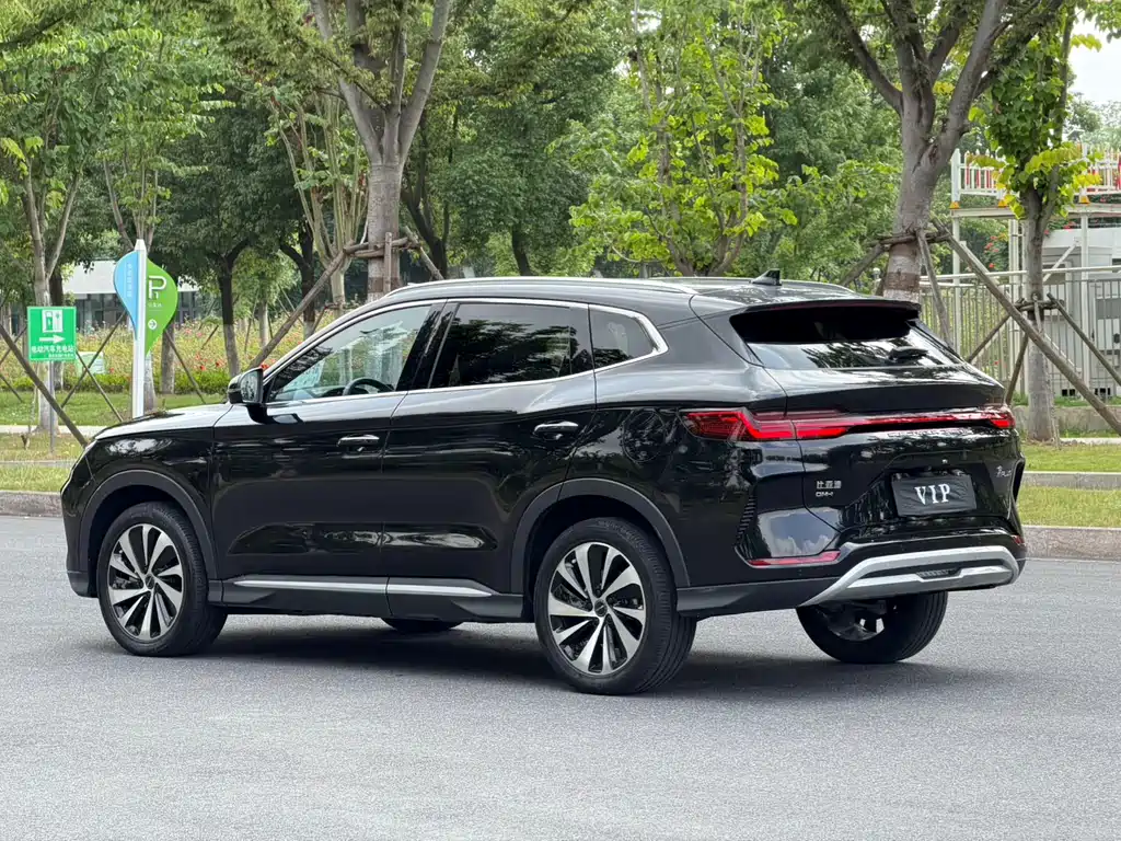 BYD PLUS New Energy 2025 — фото 15
