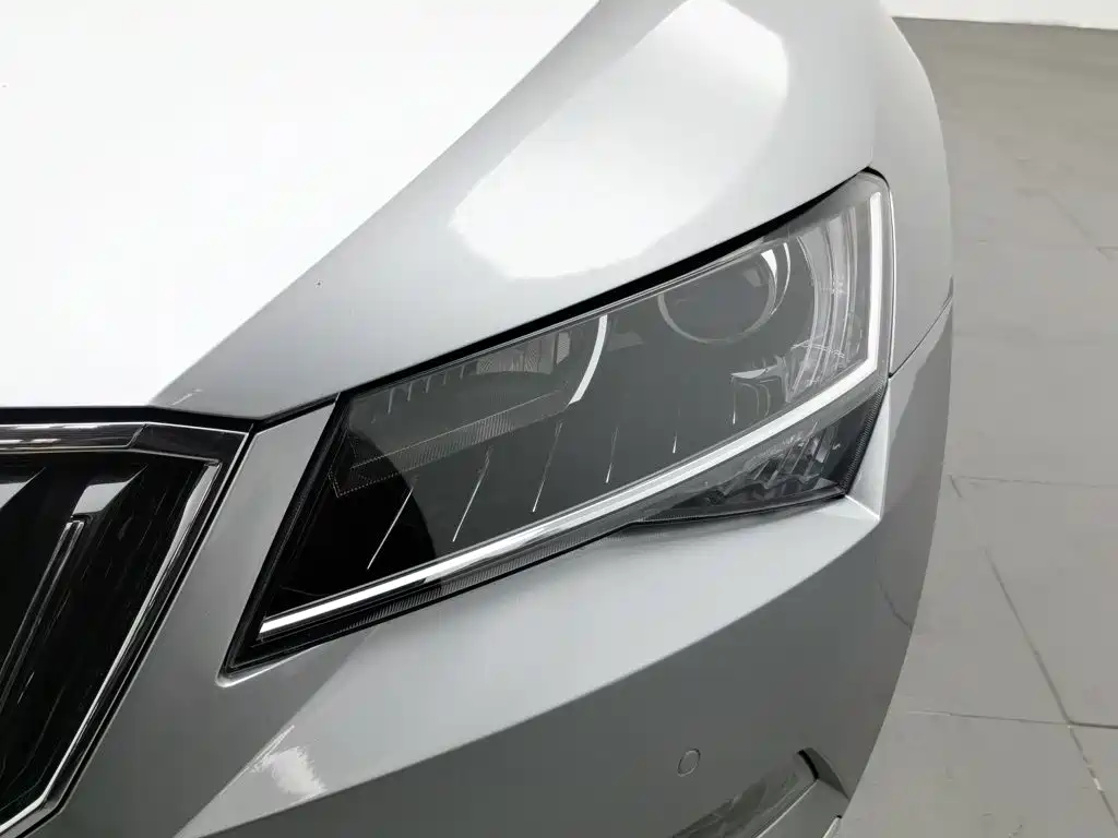Skoda Speedy 2018