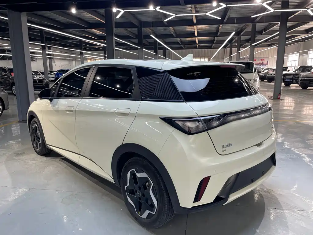 BYD Dolphin 2023 — фото 18