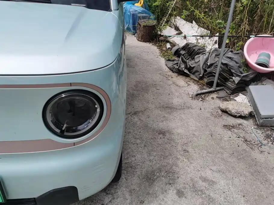 Geely Galaxy Panda 2024
