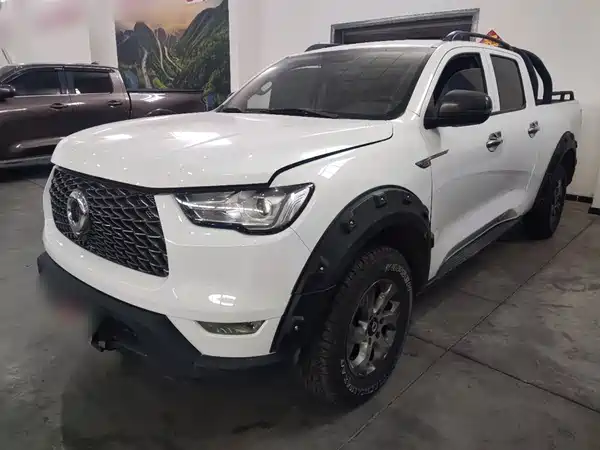 Great Wall Poer 2021