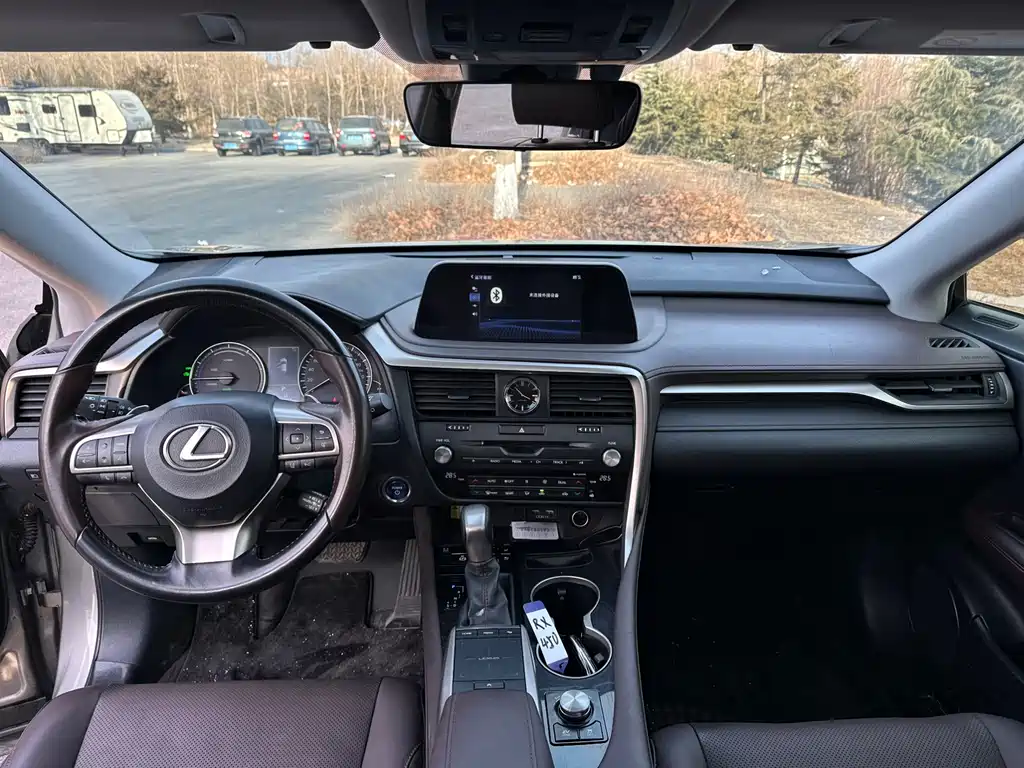 Lexus RX 2020 — фото 17