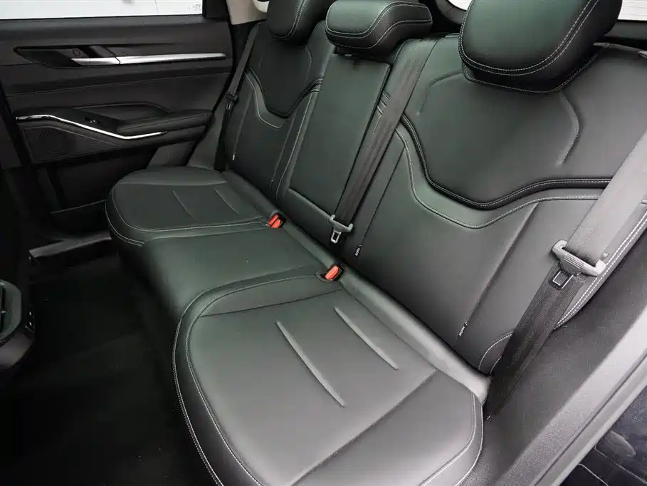 Haval H6 New Energy 2023 — фото 13