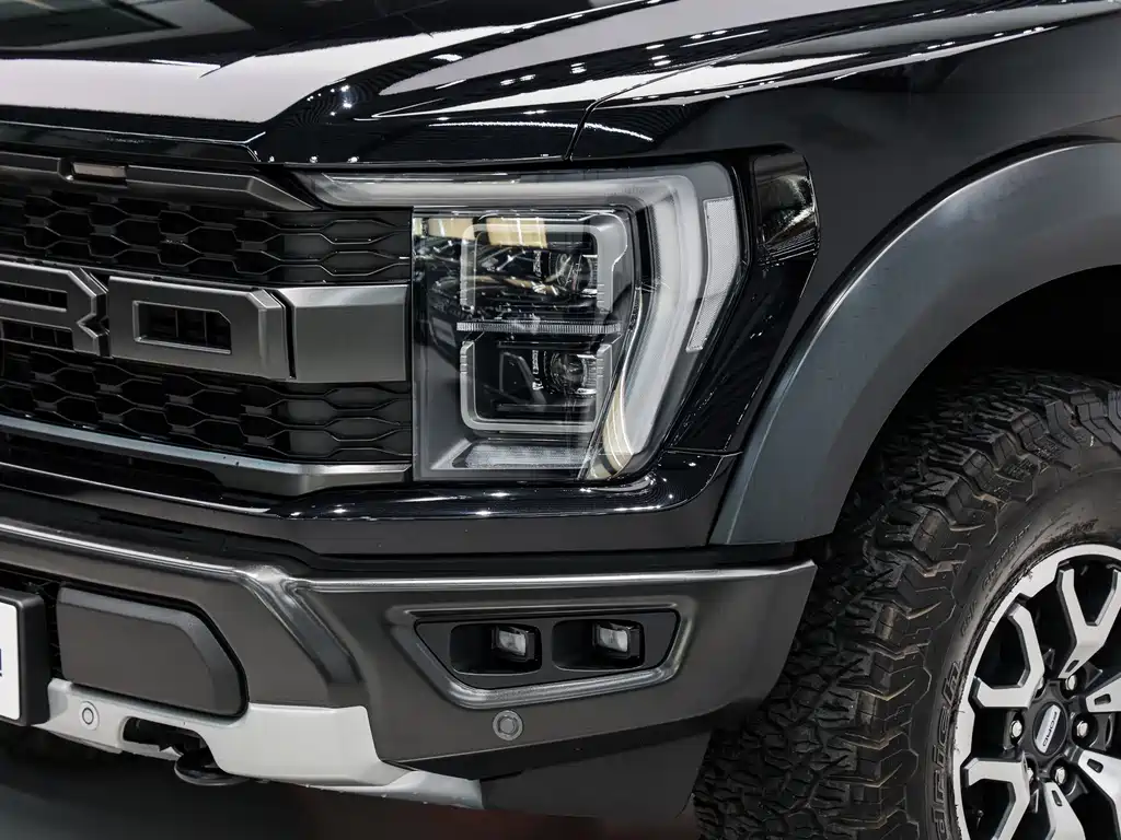 Ford F-150 Raptor 2024 — фото 8
