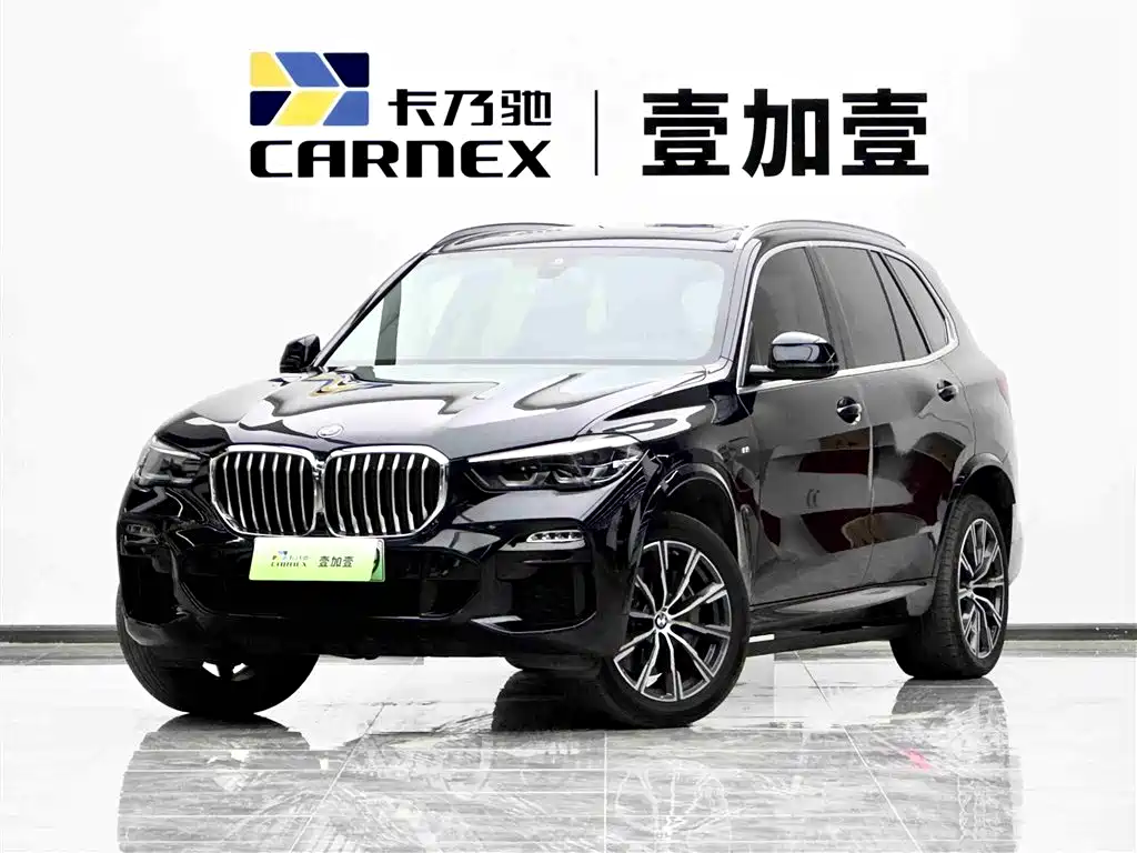 BMW X5 New Energy 2021