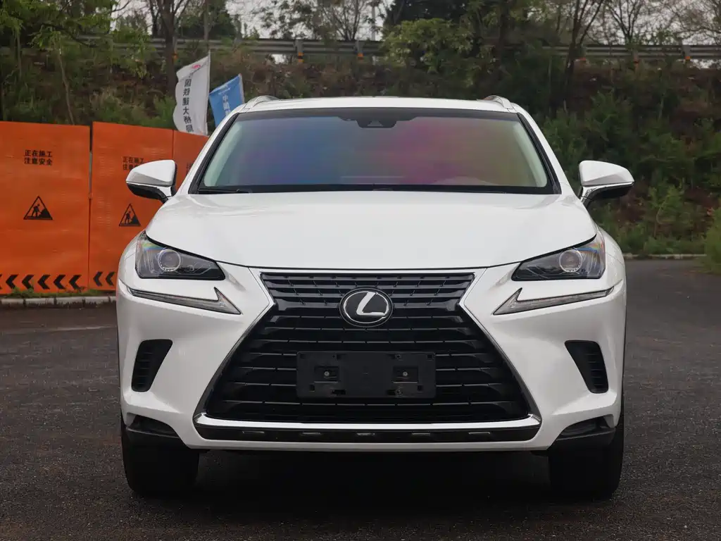 Lexus NX 2018 — фото 2
