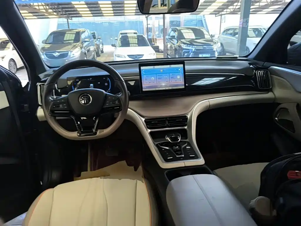 BYD Pro New Energy 2024 — фото 10