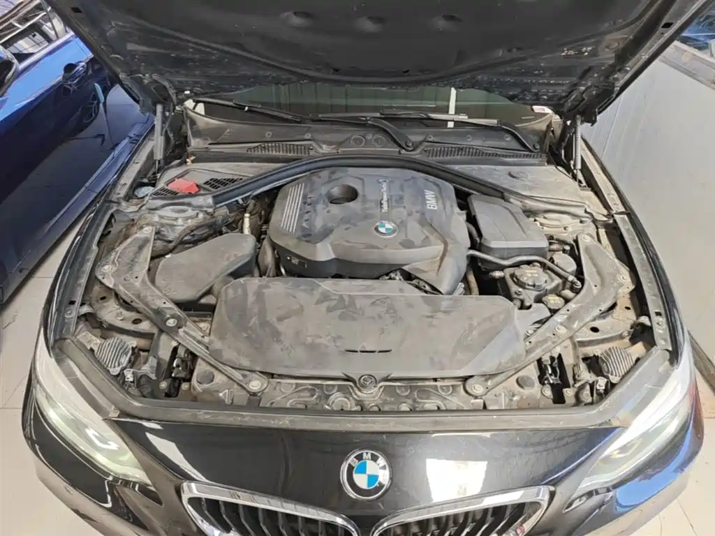 BMW 2 Series 2018 — фото 20
