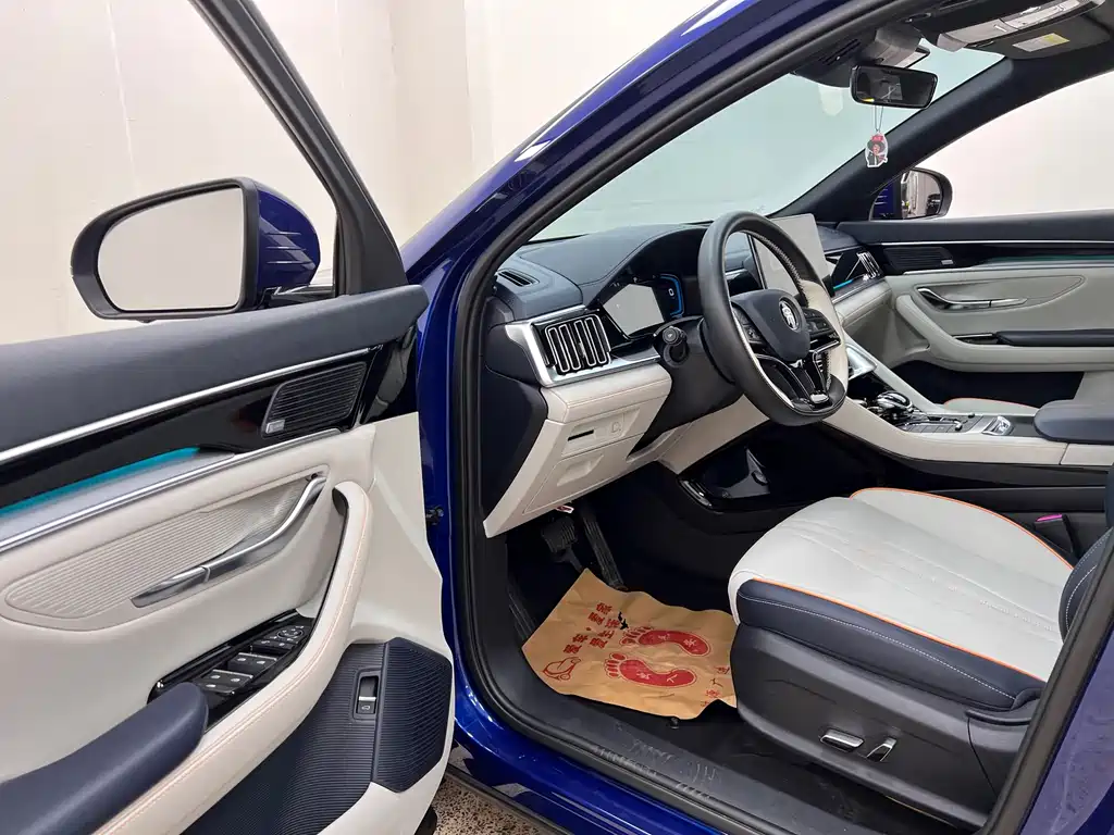 BYD PLUS New Energy 2022 — фото 12