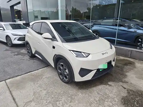 BYD Seagull 2025