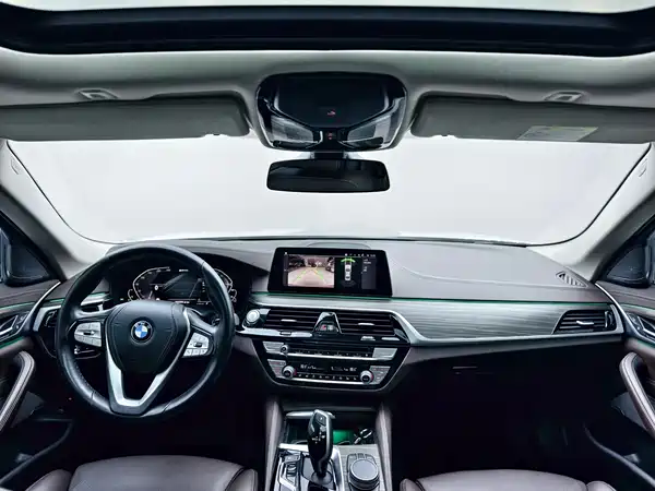 BMW 5 Series New Energy 2020