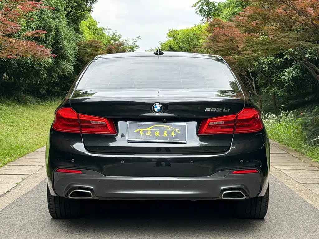 BMW 5 Series 2018 — фото 17