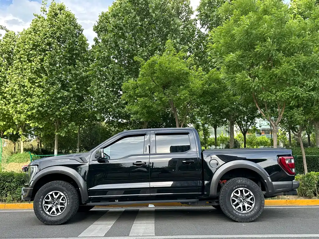 Ford F-150 Raptor 2024 — фото 16