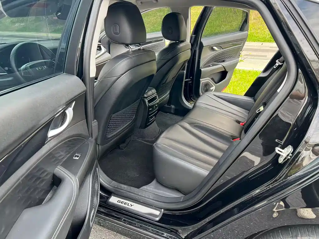 Geely Borui Hybrid 2020 — фото 10