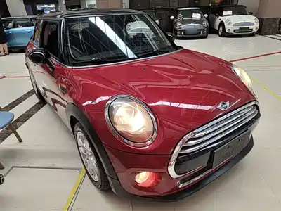 MINI MINI 2015