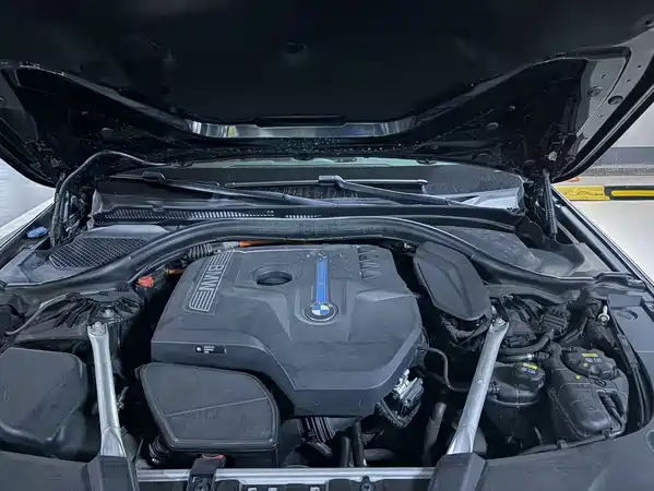 BMW 5 Series New Energy 2019