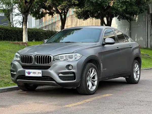 BMW X6 2019