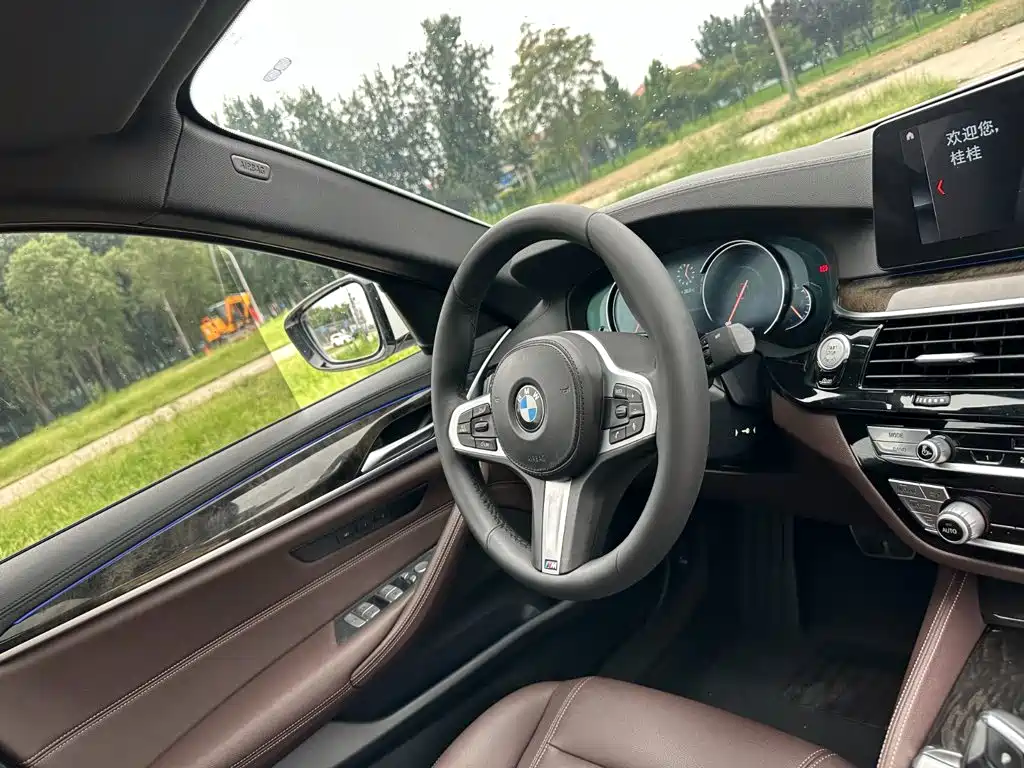 BMW 5 Series 2018 — фото 18