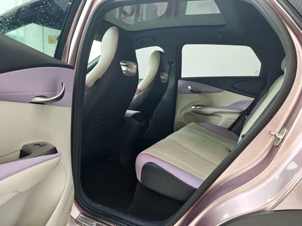 BYD Dolphin 2022
