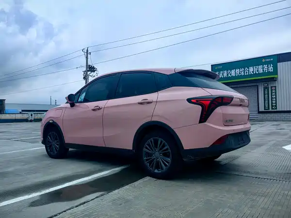 Neta V 2022
