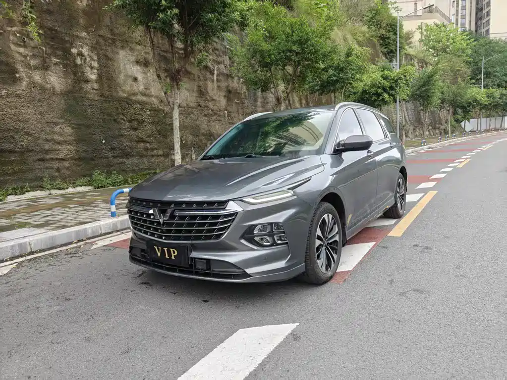 Wuling Victory 2022