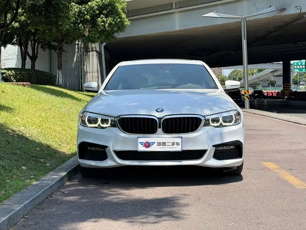BMW 5 Series 2019