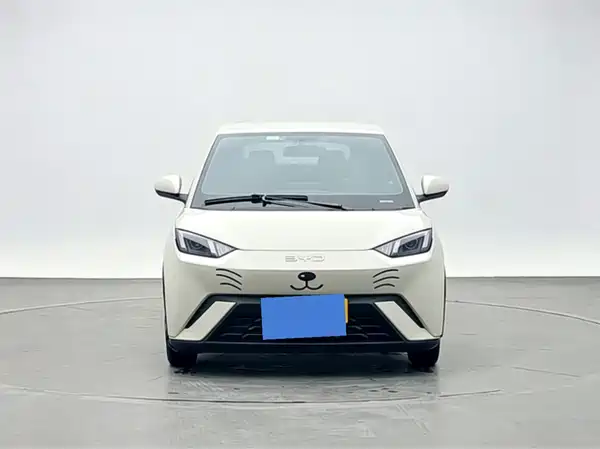 BYD Seagull 2024