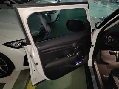 MINI MINI 2024