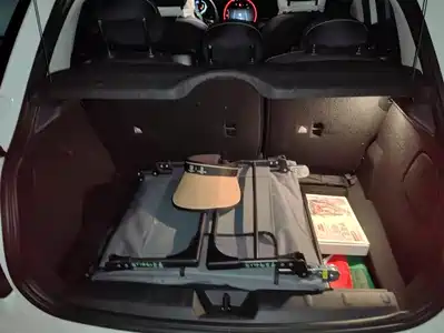 MINI MINI 2024