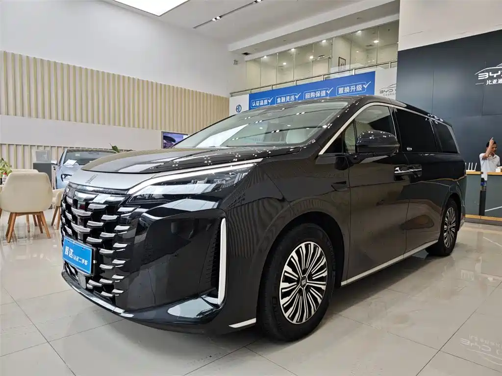 BYD Xia 2025 — фото 1