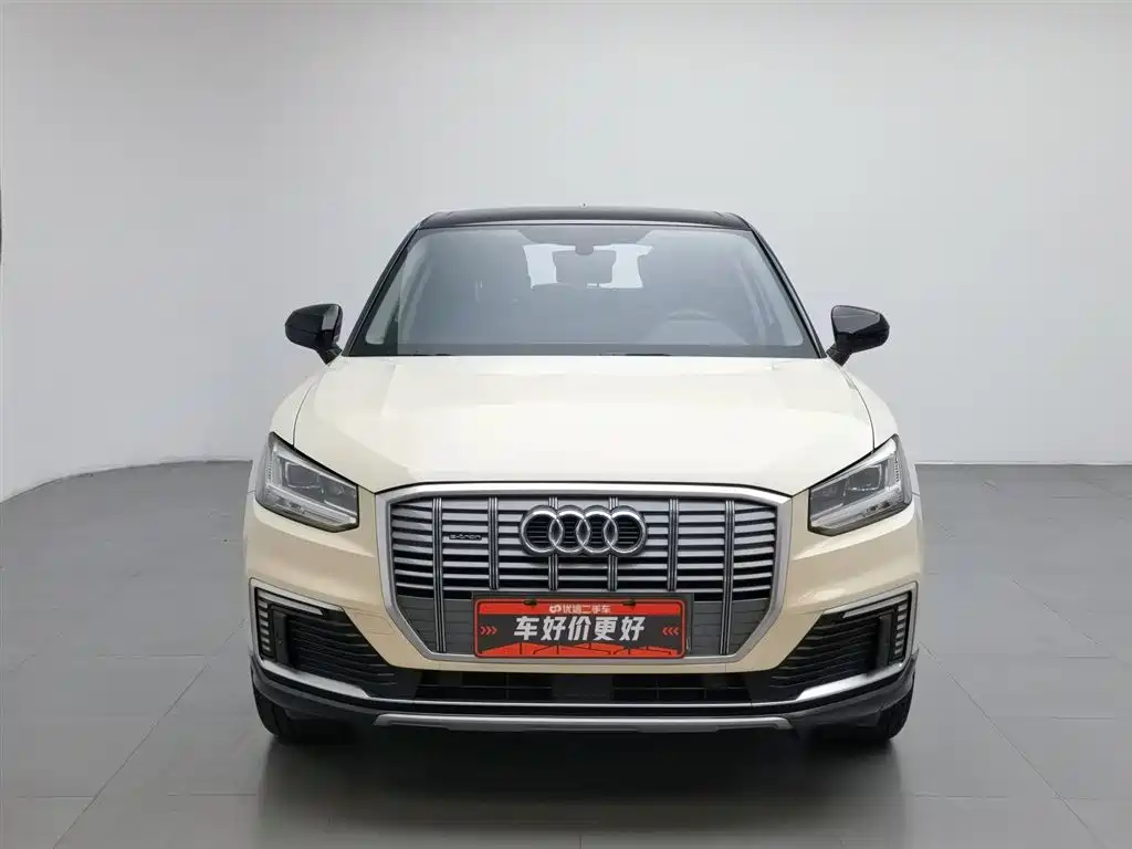 Audi Q2L E-Tron 2021