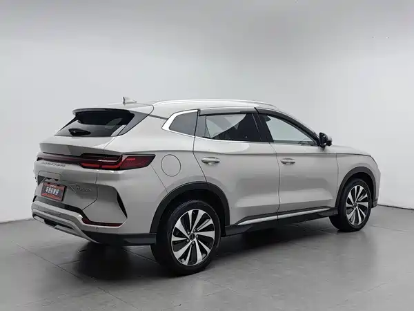 BYD Song PLUS New Energy 2024