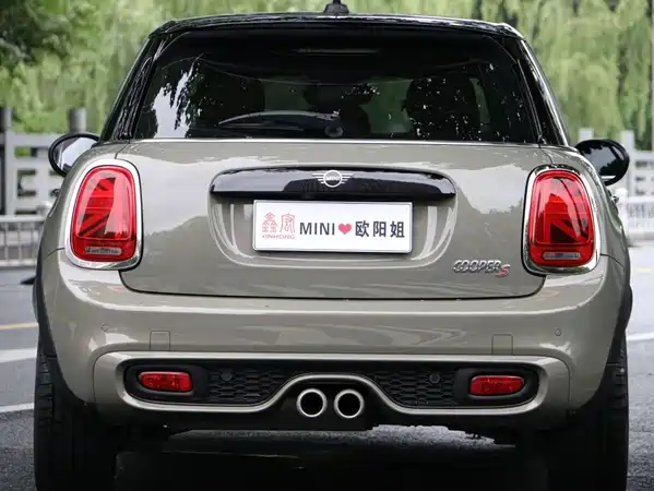 MINI 2021