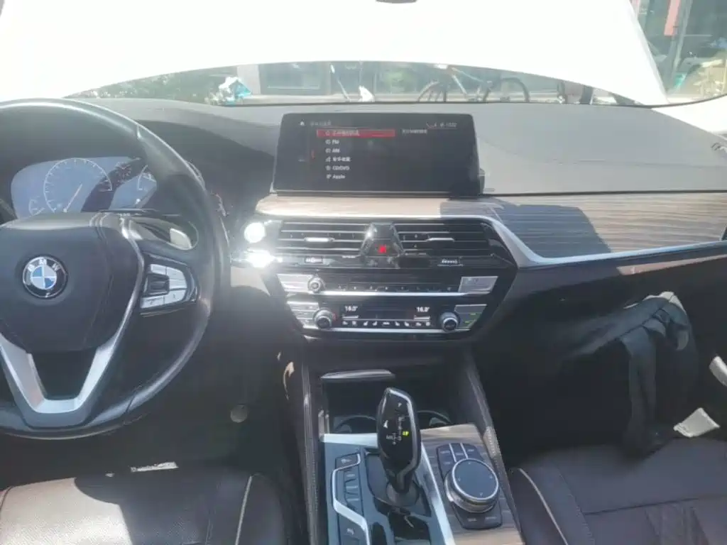 BMW 5 Series 2019 — фото 13