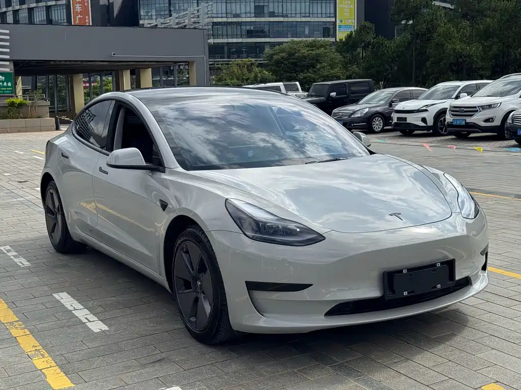Tesla Model 3 2021 — фото 4