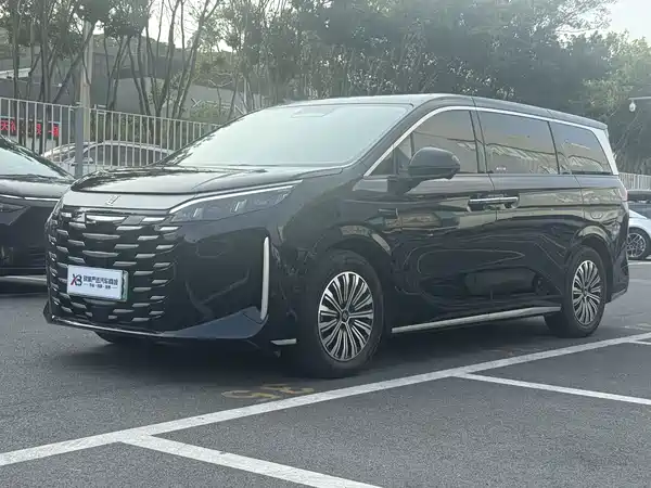 BYD Summer 2025